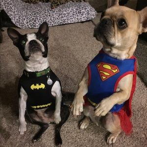 2 Superhero dog costumes, please read